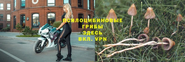 мяу мяу кристалл Заводоуковск