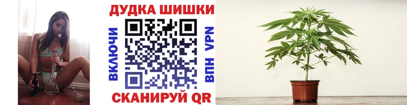 Каннабис индика  Купить  Лесной 